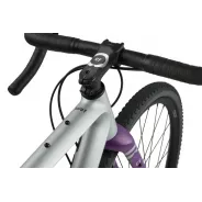 Rondo RUUT CF2 - Gravel Plus bike - Grey Silver