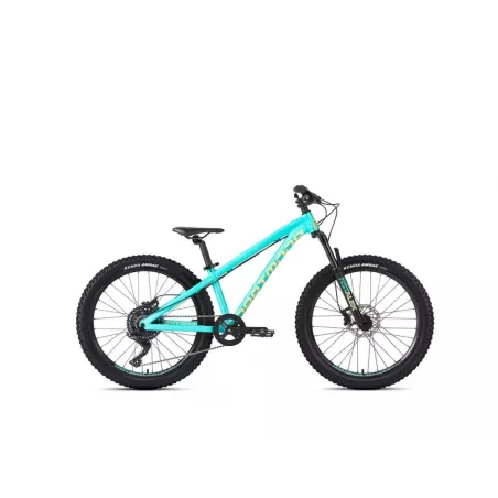 Dartmoor Hornet JUNIOR bike Mint/Banana 24"