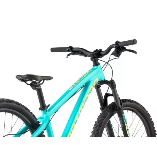 Dartmoor Hornet JUNIOR bike Mint/Banana 24"
