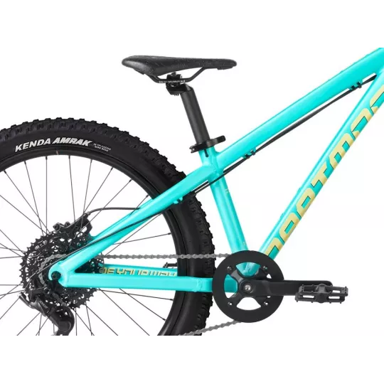 Dartmoor Hornet JUNIOR bike Mint/Banana 24"