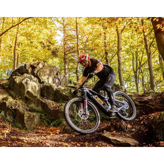 Dartmoor E-Thunderbird CF Carbon Enduro E-bike 29" | Katmar.cz