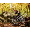 Dartmoor E-Thunderbird CF Carbon Enduro E-bike 29" | Katmar.cz