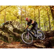 Dartmoor  E-Thunderbird CF Carbon Enduro E-bike 29" size M