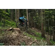 Dartmoor  E-Thunderbird CF Carbon Enduro E-bike 29" size M