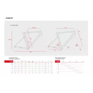 Accent Cyclone Disc Carbon frameset - Fresh White