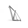 Accent Peak Carbon Boost frame - Platinum
