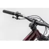 NS Bikes Eccentric CrMo 29 red - size L - SHOW