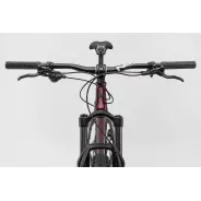 NS Bikes Eccentric CrMo 29 Červené - Show | Katmar.cz