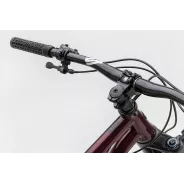 NS Bikes Eccentric CrMo 29 red - size M - SHOW