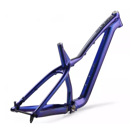 Dartmoor Hornet PRO – MTB Hardtail Frame (cosmic) | Katmar.cz