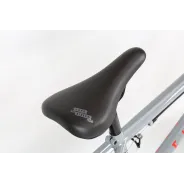 Haro Leucadia Freestyle BMX bike Grey | Katmar.cz