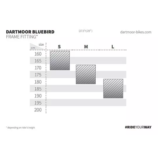 Dartmoor Jibbird Pro Kolo 27,5 - Brushed Silver | Katmar.cz
