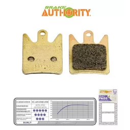 Brake Authority Burly - Hope Tech V2 brzdové destičky