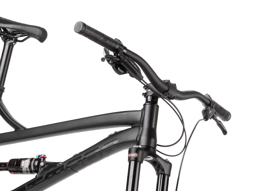 dartmoor blackbird frame